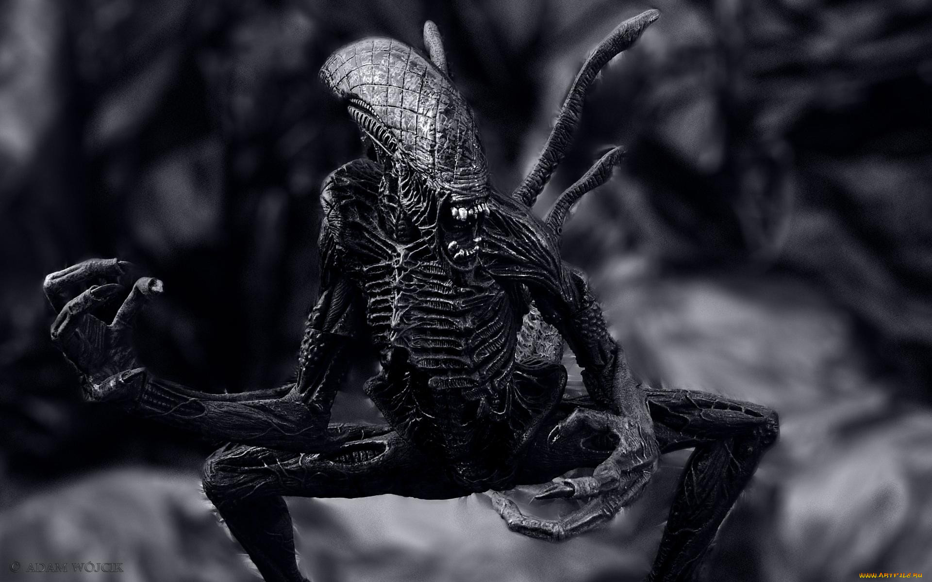alien, , 